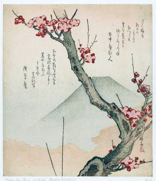 fujiwara57: SURIMONO  摺物 de Teisai Hokuba 蹄斎北馬 (1771 - 1844).Les surimono s