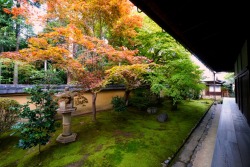 chitaka45:京都　大徳寺　興臨院kyoto daitokuji korin-in temple