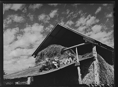 theverge:  DEPRESSION-ERA KIDS WERE MORE BAD-ASS THAN YOUYale’s searchable archive of over 170,000 Depression-era images yields some interesting glimpses into where/how kids used to play. Example: with hammers, near a dead dog, on top of a barn.This