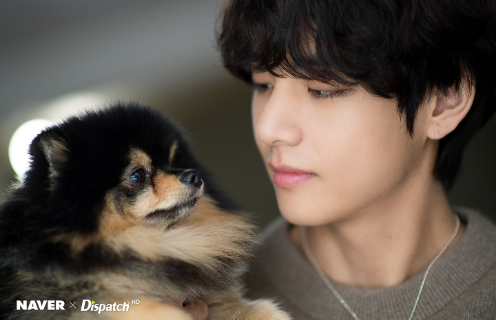 In Celebration Of V's Birthday Dispatch X Naver Released Photos Of Taehyung With Yeontan