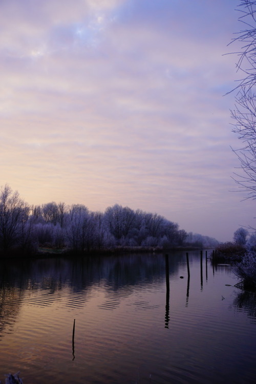 Wisentbos canal.Dronten, Netherlands.