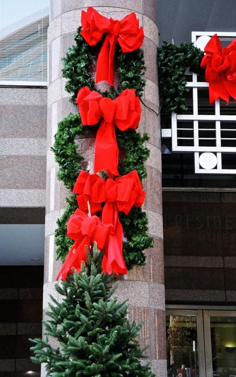 Holiday Wreaths, Office Building, Smoggy Bottom, Washington, DC, 2005.Not certain, but the building 