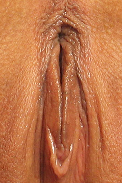 sette7sette:  sette1sette: Adrianna Russo - Explosive…  0 The top 50 Photoset from “sette1sette” - 2013,  December # 41 -  131 notes. 