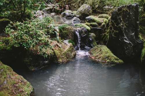 helloellie:viα talltalememory: Portland Japanese Garden