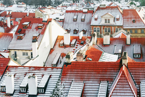 Red roofs of PraguePrague | Winter