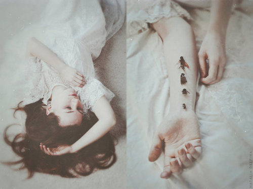 Insomnia’s insectsby Natalia Drepina