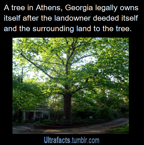 ultrafacts:  Source For more facts follow Ultrafacts