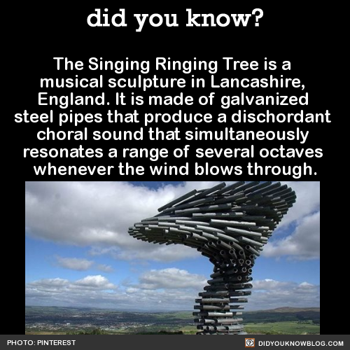 naamahdarling:  kyraneko:  naamahdarling:  winneganfake:  did-you-kno:  The Singing