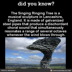 naamahdarling:  kyraneko:  naamahdarling:  winneganfake:  did-you-kno:  The Singing Ringing Tree is a musical sculpture in Lancashire, England. It is made of galvanized steel pipes that produce a dischordant choral sound that simultaneously resonates