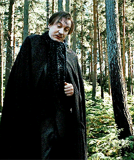 Happy Birthday To Harry Potters Remus John Lupin David Thewlis! (b. March 20, 1963)