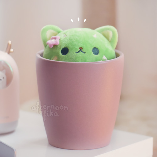 fluffysheeps:Little catcus plush! AfternoonFika