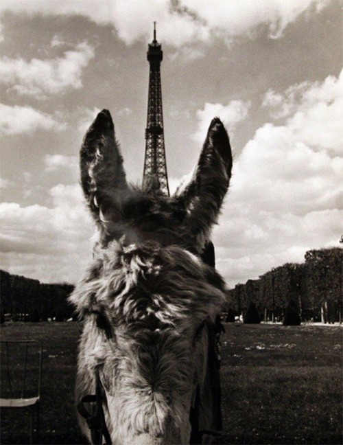 Robert Doisneau - Le Champ de Mars, Paris, 1969.