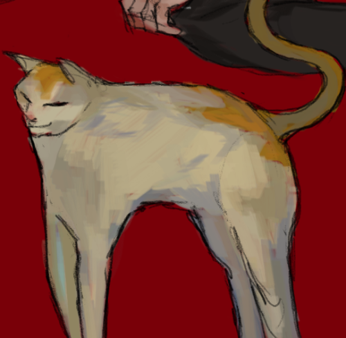 Irregular Looking Cat