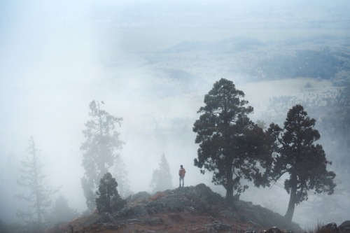elizabethgadd:  Winter Blues