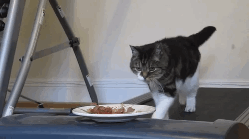 funny-gif-1:  Other Funny Gİfs http://funny-gif-1.tumblr.com/  I need it!))