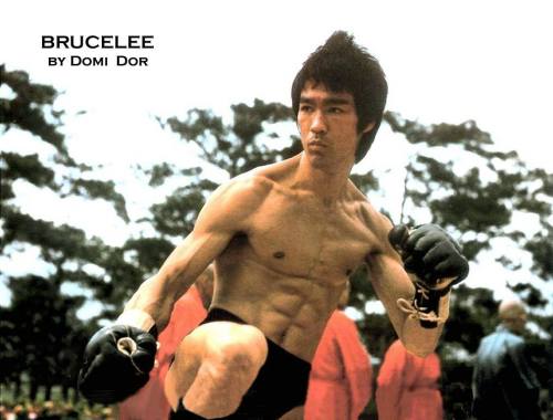 taichi-kungfu:  Bruce lee was the father of MMA, the master of Kung fu.