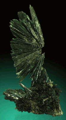 rocks-rule:  “Vivianite, 12.8 × 7.5 ×