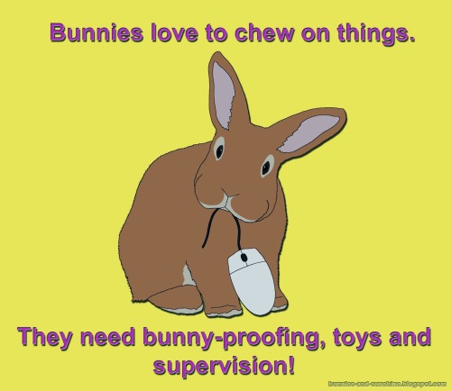 ludicrouscupcake:babblingbug:(Bunnies and Sunshine) Easter is coming up! And it’s a terrible t