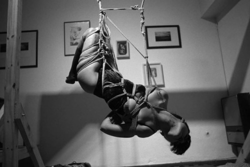 @mantubela . . . . #shibari #kinbaku #rope #bondage #ropeart #bondagerope #shibariart #bdsm #bdsmkin