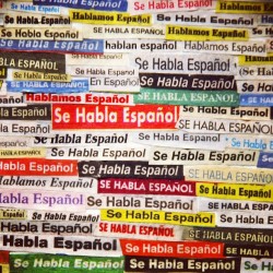 sanjosepiedras:  Se habla Español. 