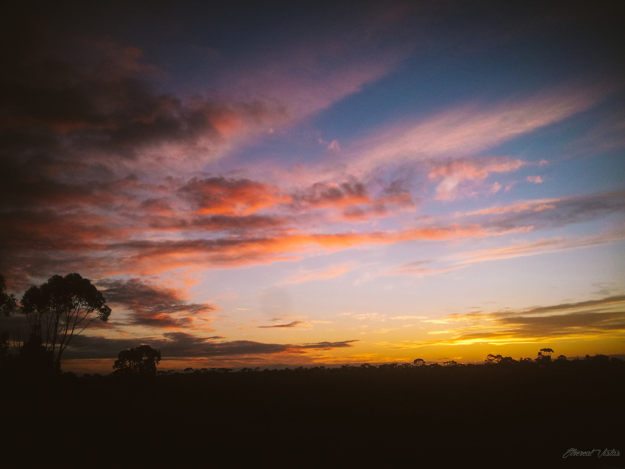 etherealvistas:  Sunset Meadow (Australia) by Me 