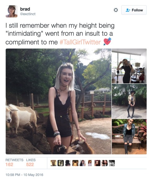princessfailureee: dailydot: #TallGirlTwitter shows all women are ‘allowed’ to wear heels In many c
