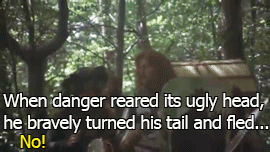 daughters-of-the-dunedain:Sir Robin rode north, through the dark forest of Ewing, accompanied by his