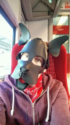 In England puppy’s are allowed on trains…