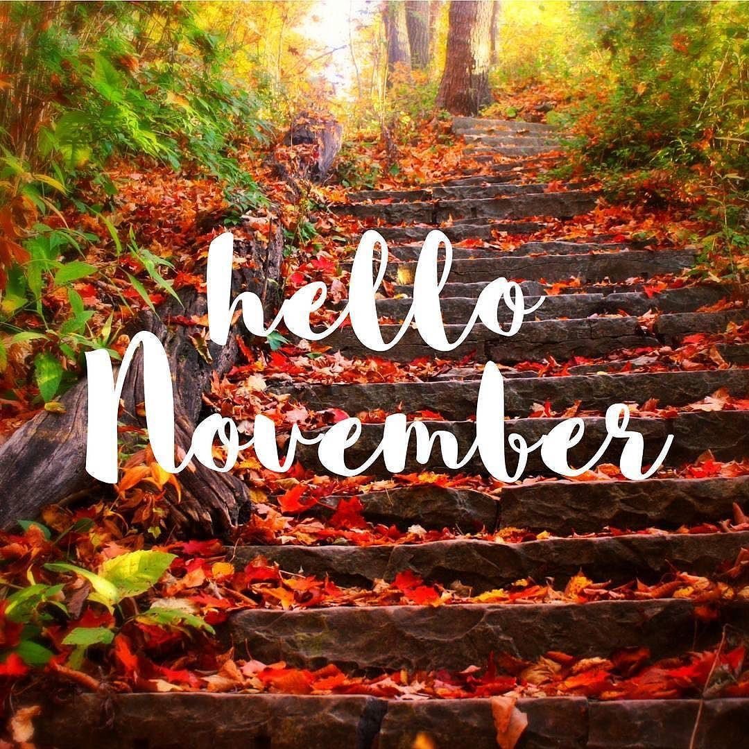<p>🍂 Hello November 🍁 <br/>
.<br/>
#novembervibes #naturalmedicines #naturalremedies #fluseason #homeopathyworksforme #homeopathyrocks #tryhomeopathy <br/>
<a href="https://www.instagram.com/p/CHC95jej1xR/?igshid=1dovqq64p53p5">https://www.instagram.com/p/CHC95jej1xR/?igshid=1dovqq64p53p5</a></p>