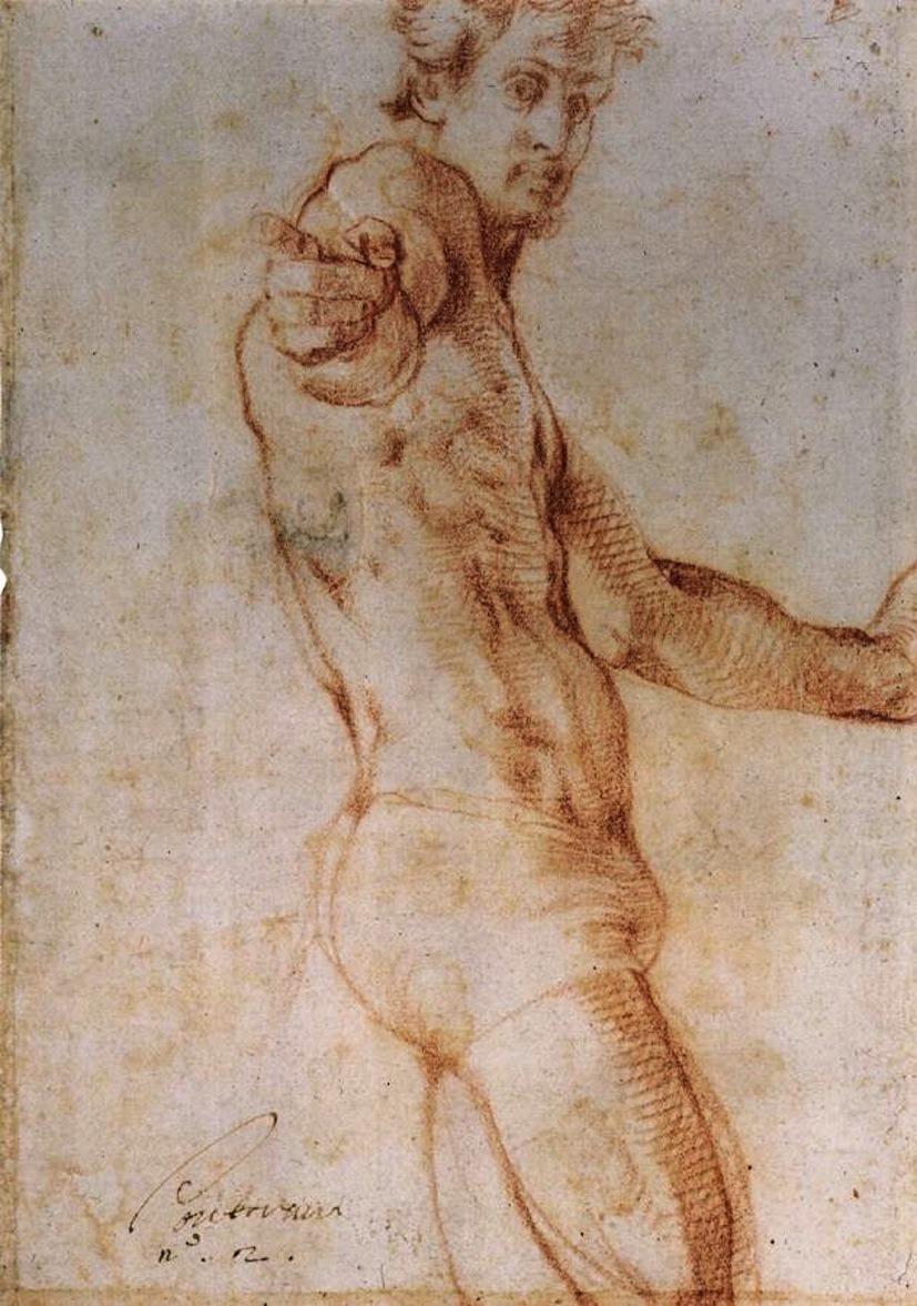 Jacopo Pontormo:  Self Portrait   (1525)