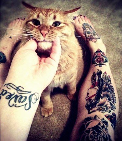 massblog021:  Tattoo cats ^_^ 
