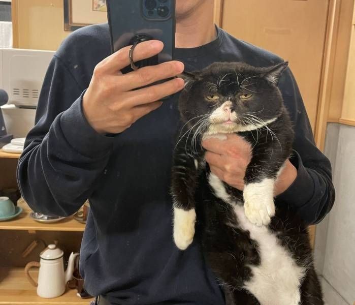 catasters: