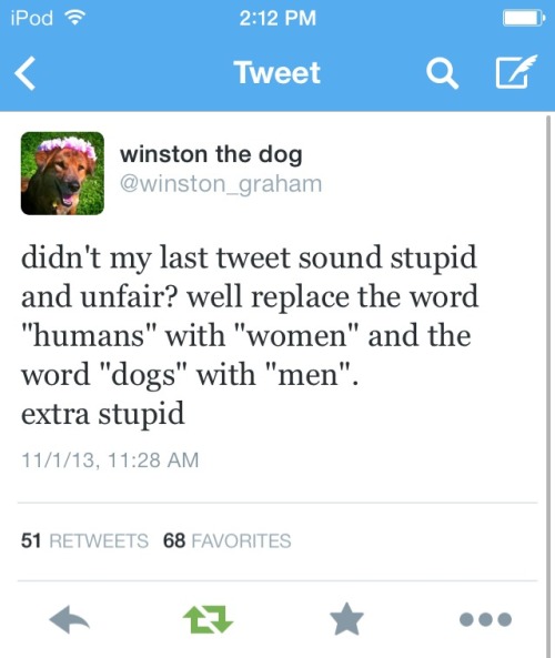 sassacas:  Winston the Dog knows what’s up 