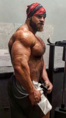 Mounds of muscles and awesome hairy pecs