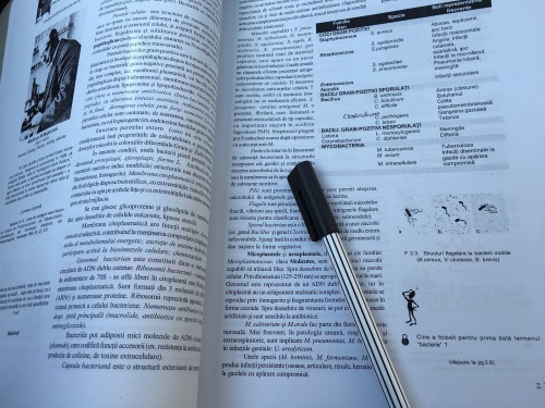 german-and-medicine:  I have an appointment at the dentist, but still one hour to go so…a lit