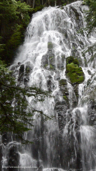 Sex connie-awanderingsoul:  Ramona Falls, Mount pictures