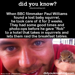 did-you-kno:  When BBC filmmaker Paul Williams