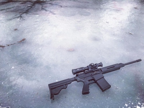 @dpmspantherarms Oracle .308 on ice ❄️ #zulutactical #guns #ar15 #ar10 #dmr #308 #vortexoptics #magp