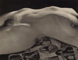 Fragrantblossoms:    George Platt Lynes