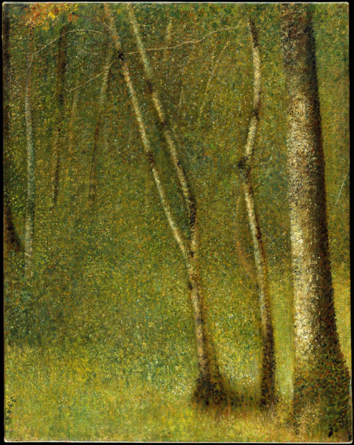 Georges Seurat, The Forest at Pontaubert, 1881. Oil on canvas. France. Via metmuseum