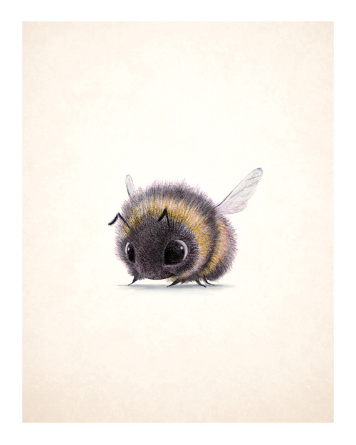 twiggymcbones: sydwiki: Bumblebee! It’s too cute! I can’t BEE-lieve it. 