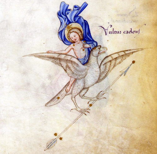 constellation Vultur CadensFazio degli Uberti, II Dittamondo, Milan ca. 1447BnF, Italien 81, fol. 17