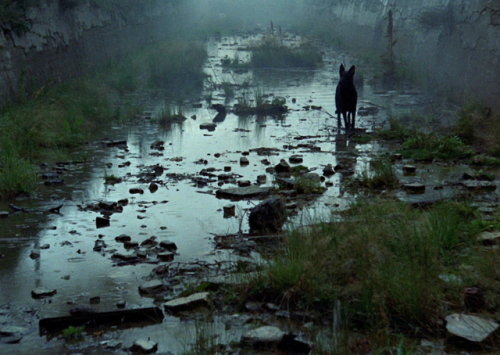 highvolumetal:Stalker ,  Andrei Tarkovsky, 1979. 