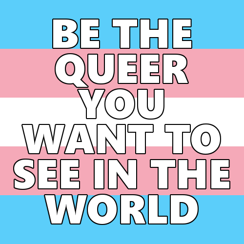 queerlection: [Image description - Images of the trans, nonbinary, rainbow, lesbian, pan, bi, aroace