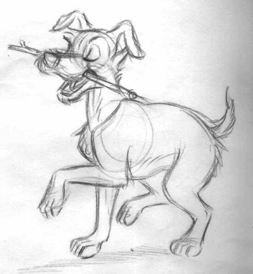 disneymoviesandfacts: Lady and the Tramp concept art