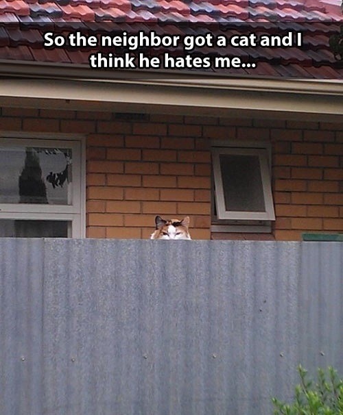Humor Train