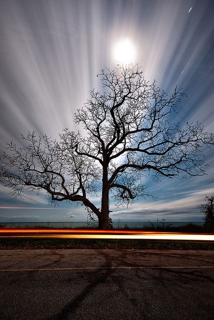 beatiful-man: