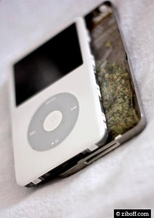 thathighup:  Use old iPods as stash cans  