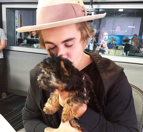 https://theraquelbieber.tumblr.com/post/115631737480
