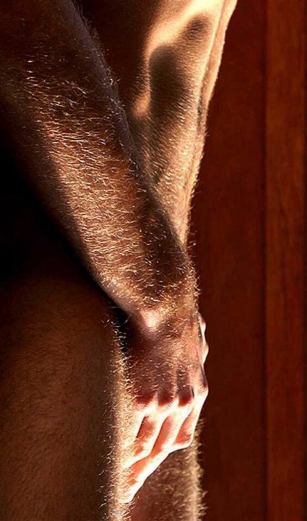raphe-scroti:  A natural hairy look.  http://raphe-scroti.tumblr.com
